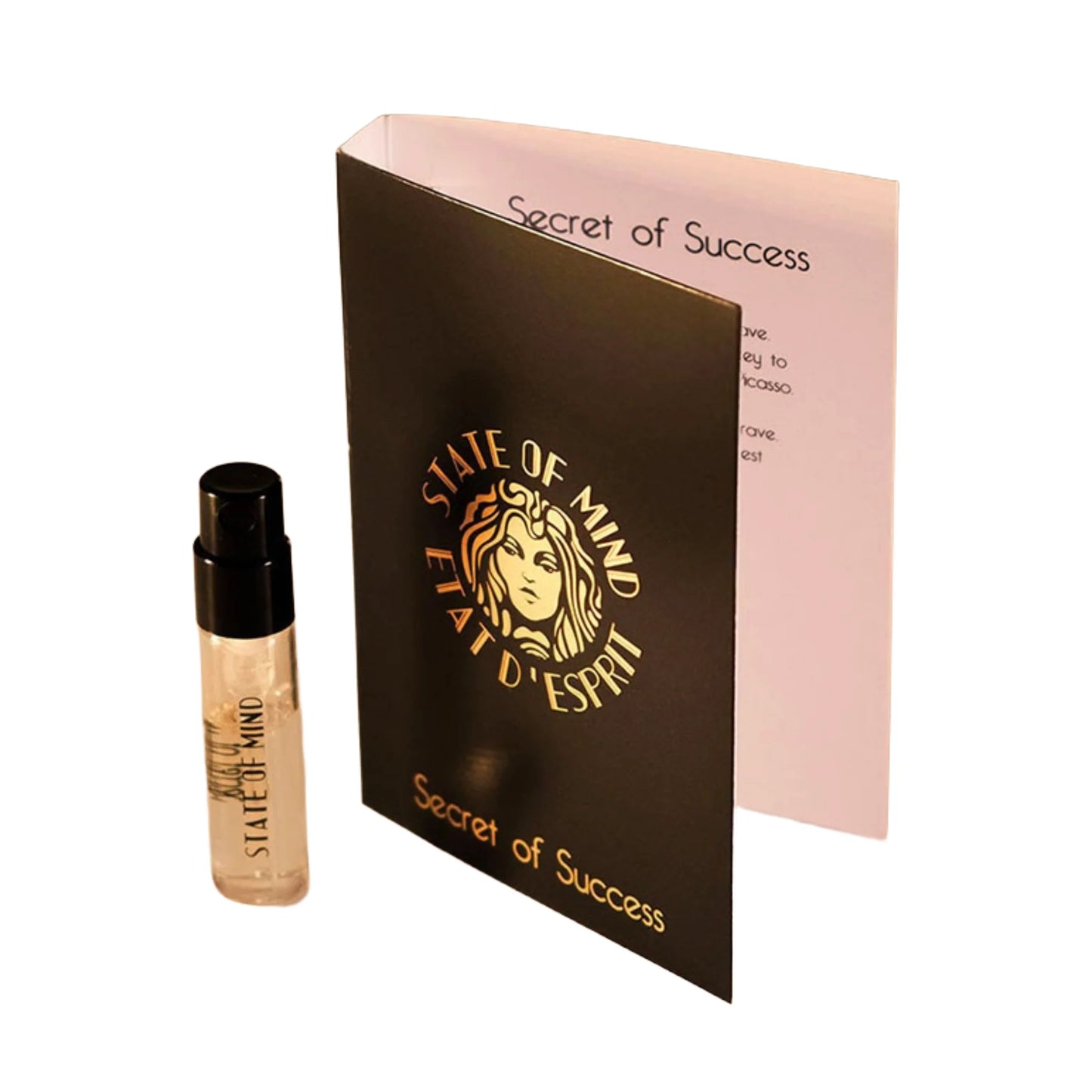 Secret Of Success